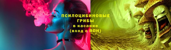 стафф Абинск
