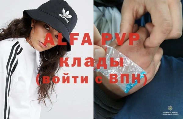 ECSTASY Алзамай